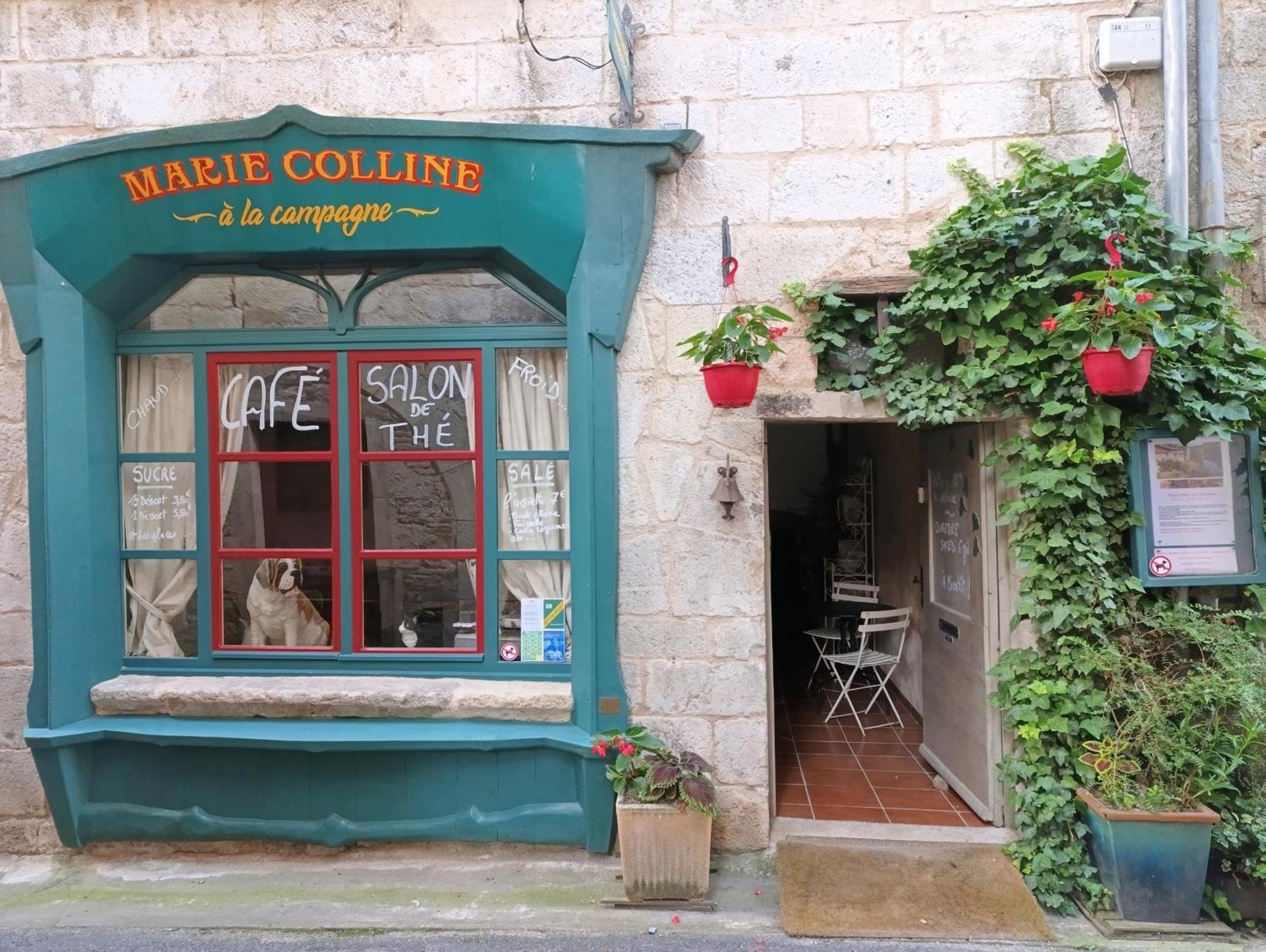 Marie Colline A La Campagne Bed & Breakfast Saint-Antonin-Noble-Val Exterior photo